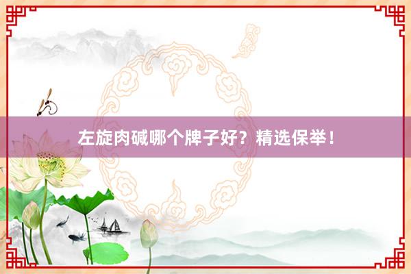 左旋肉碱哪个牌子好？精选保举！