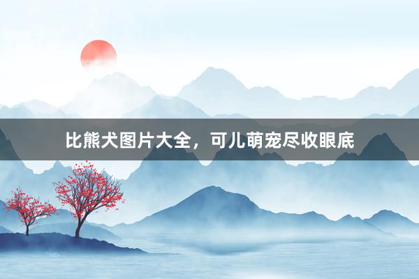 比熊犬图片大全，可儿萌宠尽收眼底